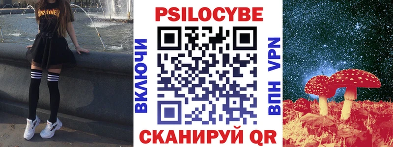 Псилоцибиновые грибы Psilocybe  Купить где  Белая Калитва 